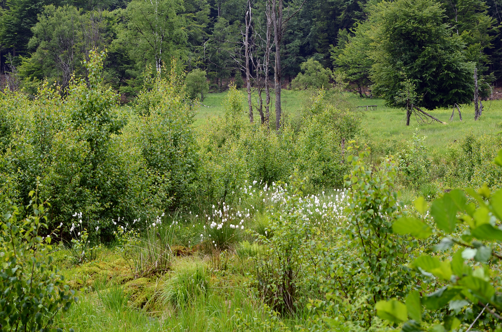 Hunsrück-Nahe
