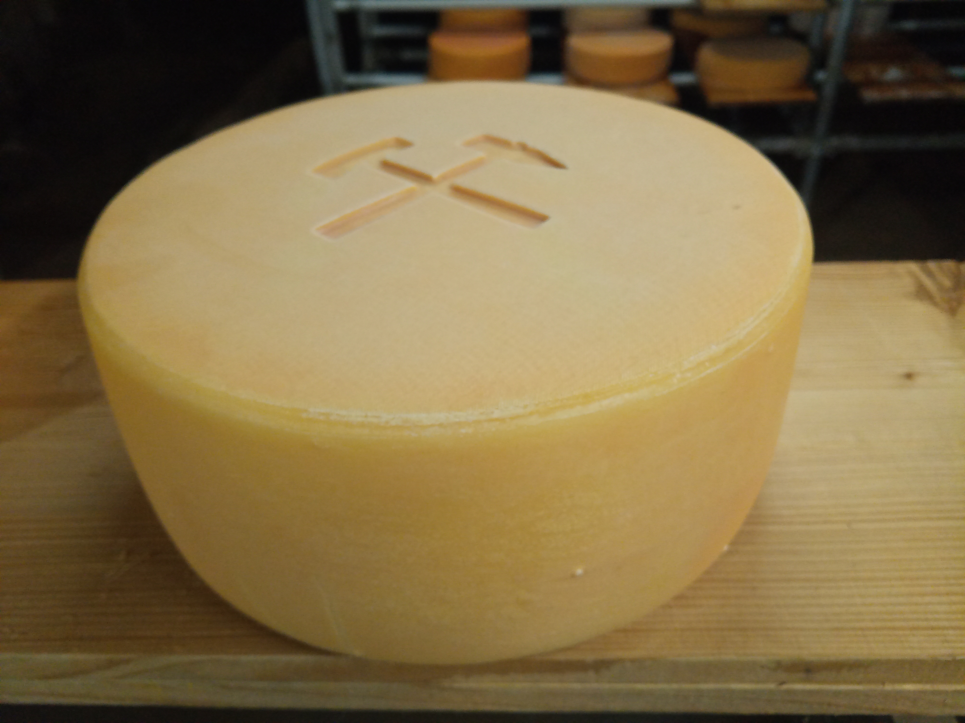 Der Bio-Käse Alter Steiger aus dem Schwalbenhof
