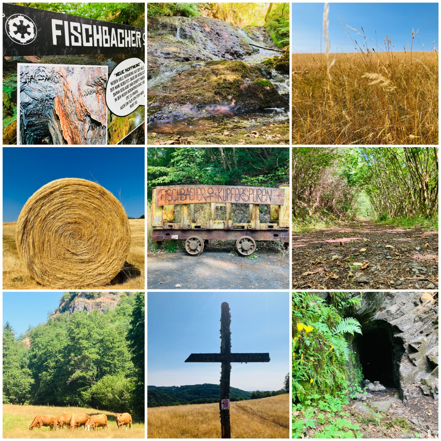 Wald, Halden und historische Bergbauspuren in der Fischbacher Kupferlandschaft