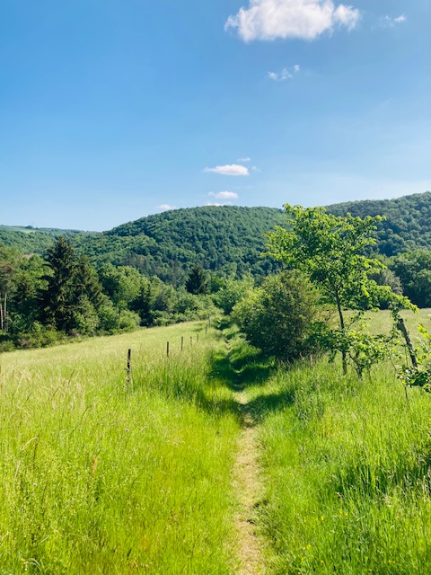 Aussicht über das Hosenbachtal